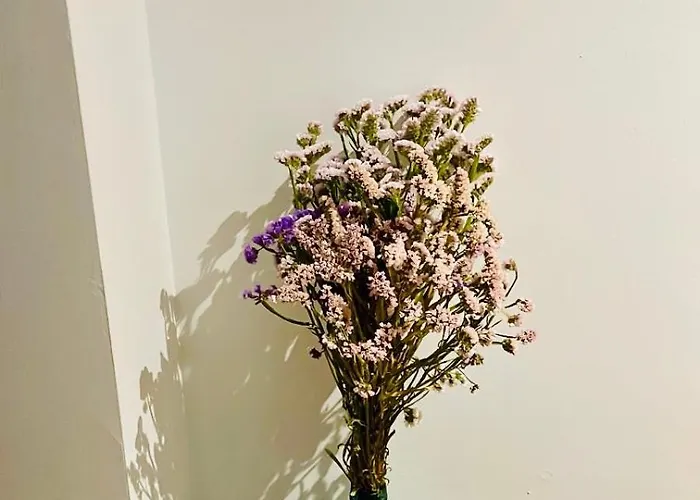 Piso Abril Apartamento Zafra